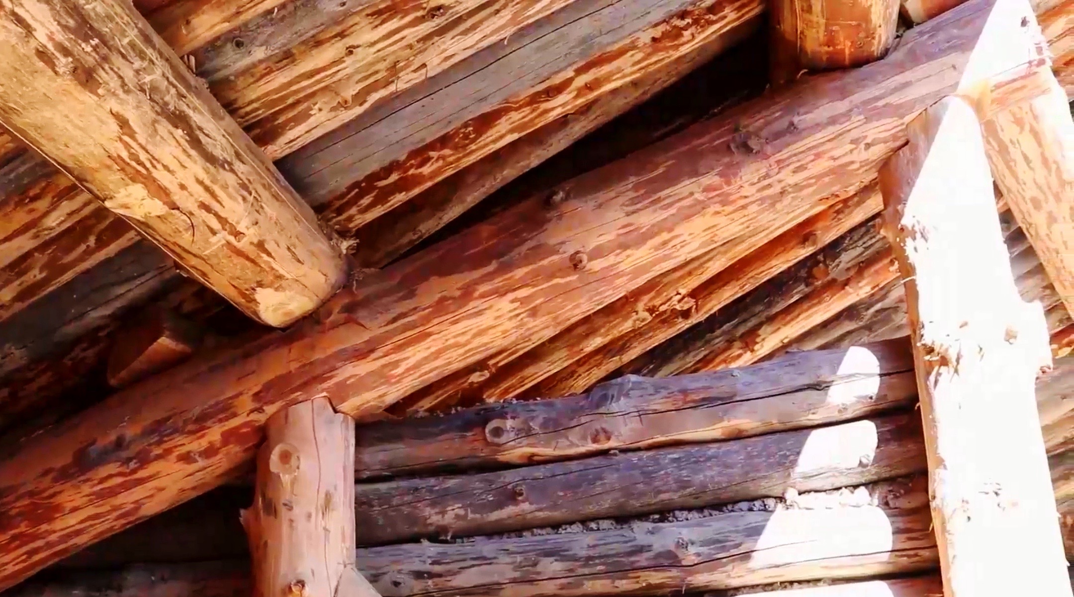 roundwood-timber-framing